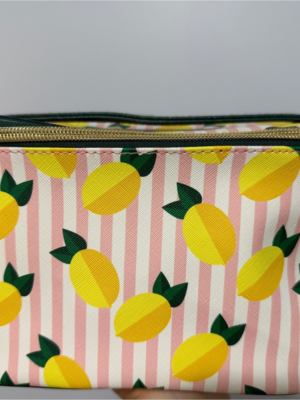 Dabney Lee Lemon Print Cosmetic Travel Case Bag